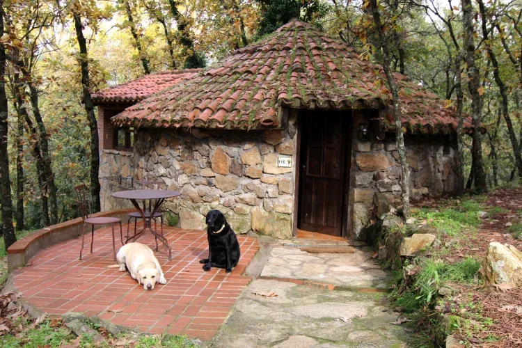 Imagen de Exterior Cabaña Col