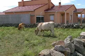 Imagen de Los Campos