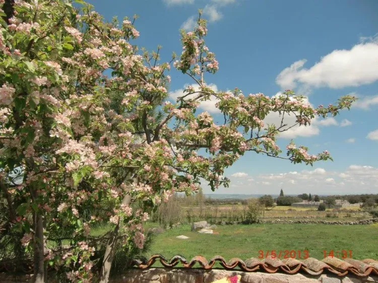 Imagen de Alrededores