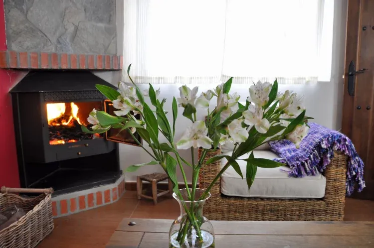 Imagen de Salón con chimenea