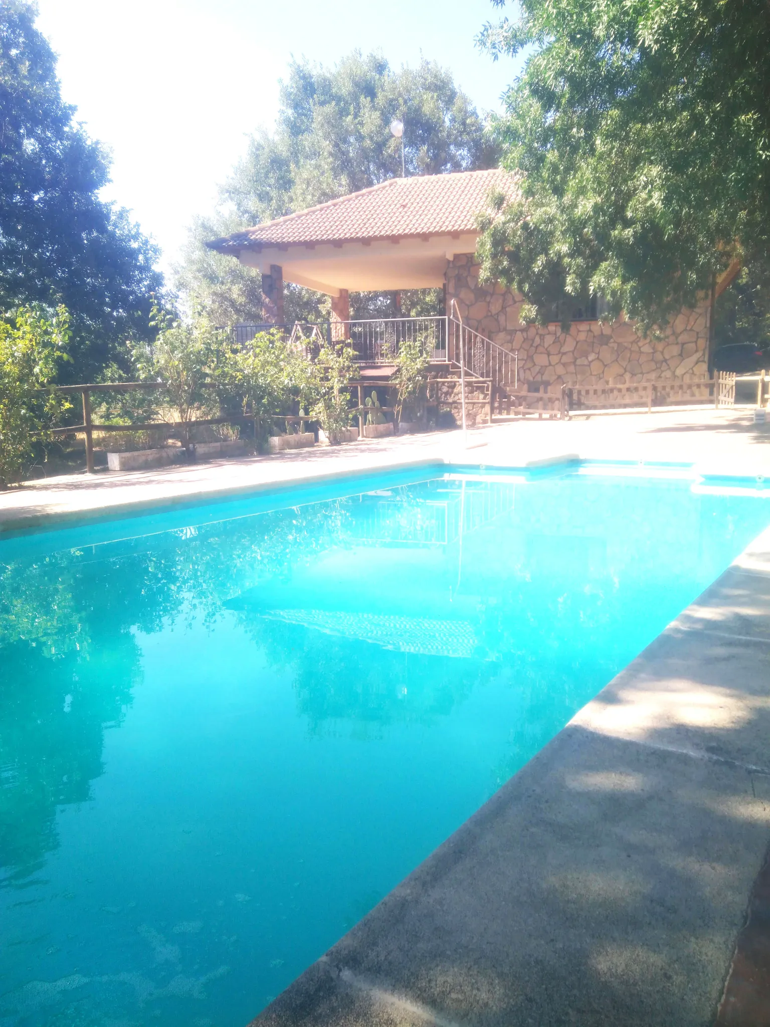 Imagen de La piscina
