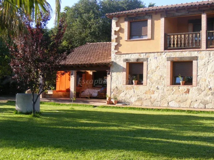 Imagen de Higueras Y Olivos