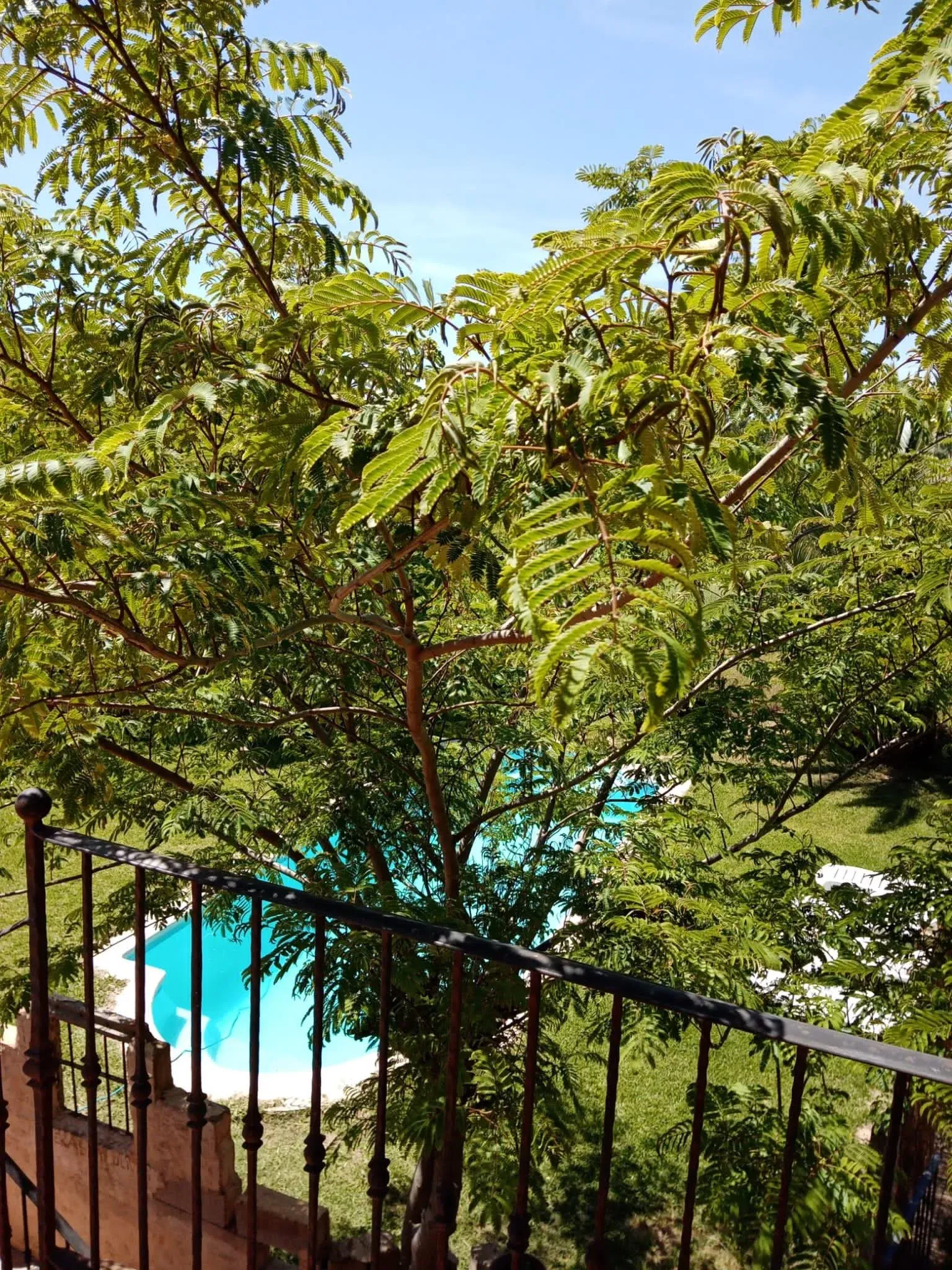 Imagen de Piscina