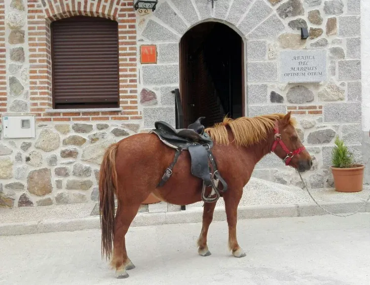 Imagen de Fachada Abadía del Marques