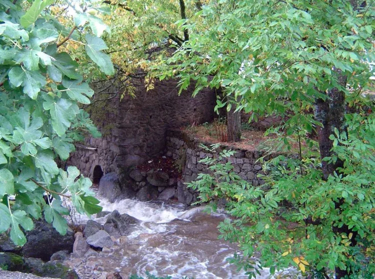 Imagen de Gargantas y arroyos 