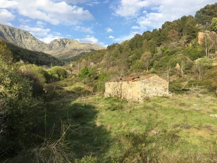 Imagen de Paisaje típico