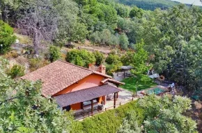 Imagen de Los Olivos