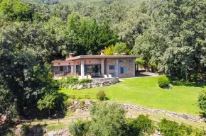 Imagen de El Arroyo