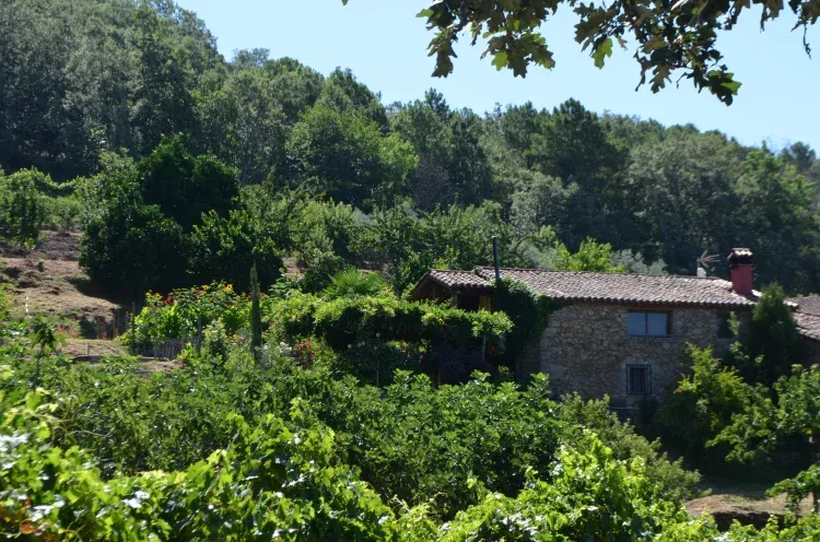 Imagen de Casa 