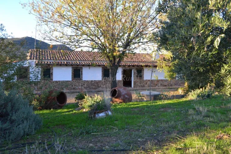 Imagen de Exterior 5