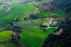 Imagen de Mas Vinyoles