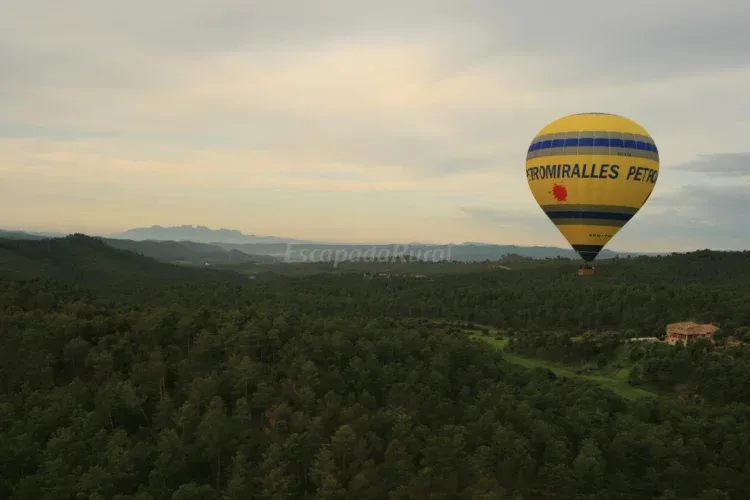 Imagen de vista d'ocell
