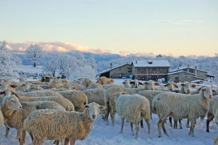 Imagen de Invierno