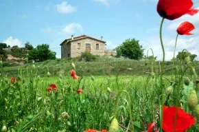 Imagen de Puigdesala