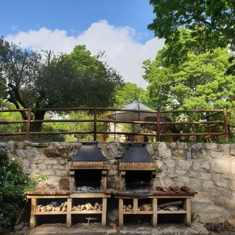 Imagen de Barbacoa