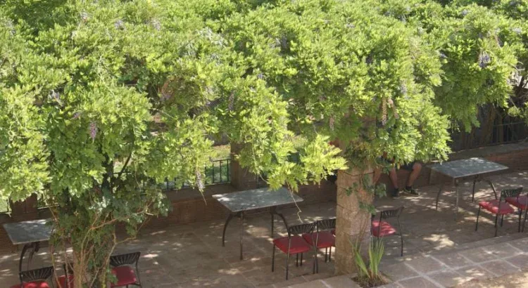 Imagen de Jardín