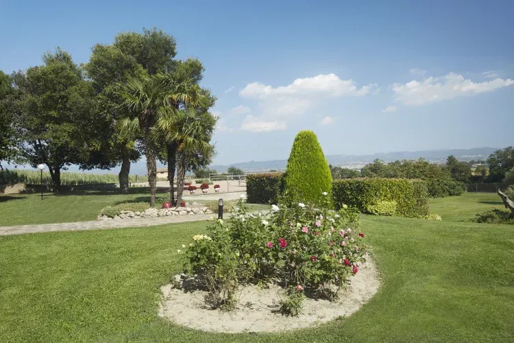 Imagen de Jardín