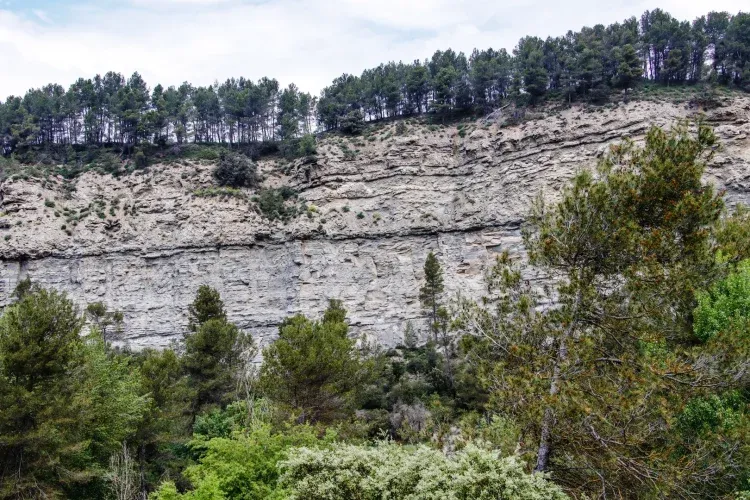 Imagen de Vistas de la Riba Tallada