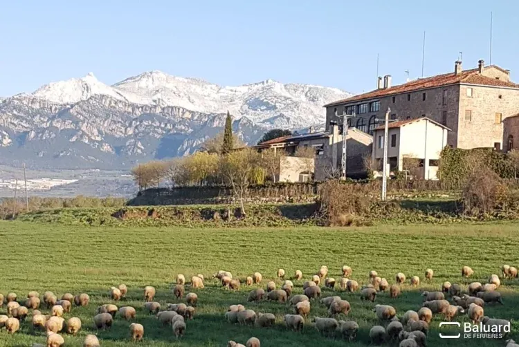 Imagen de Finca