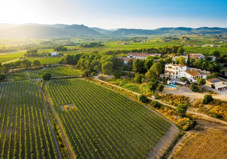 Imagen de Hotel entre viñedos