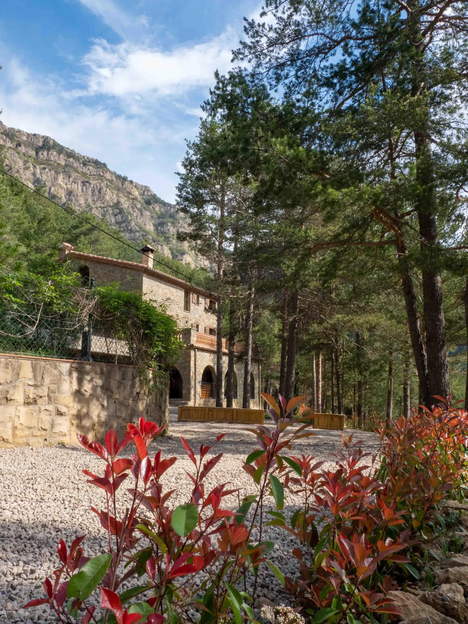 Imagen de Jardí
