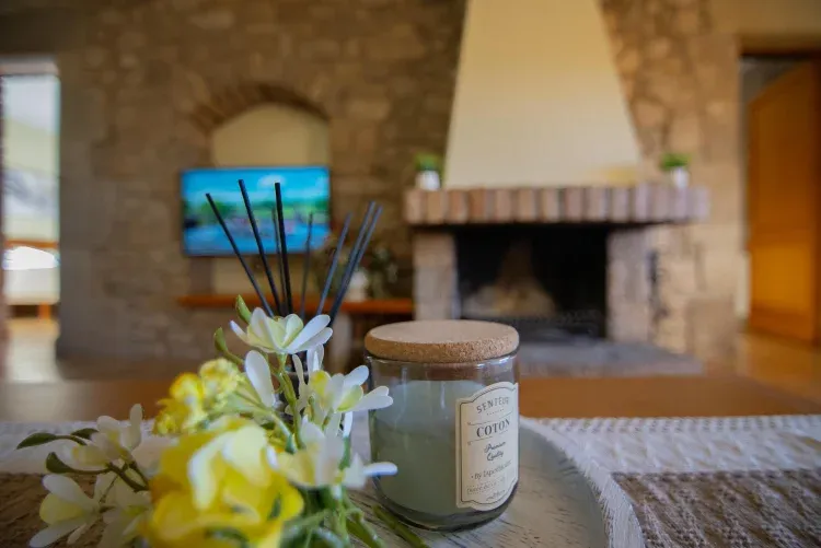 Imagen de Chimenea salon