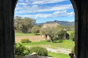 Imagen de Mas Oliveras
