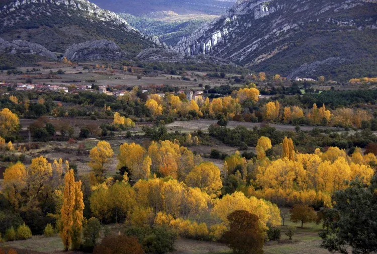 Imagen de Otoño en Valdivielso