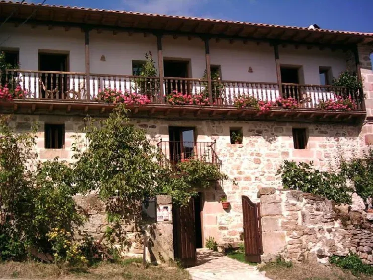 Imagen de Caléndula