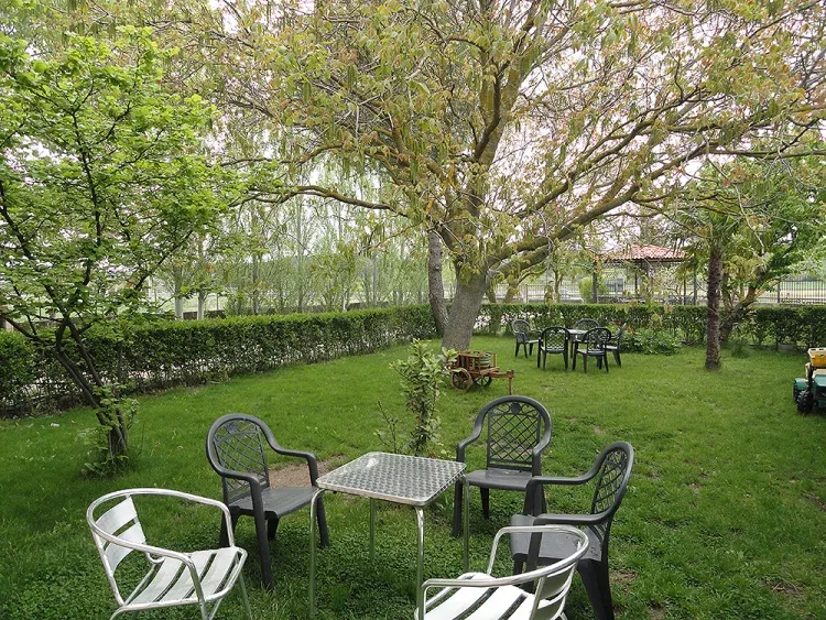 Imagen de Jardín Exterior