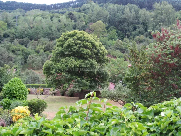 Imagen de Jardín