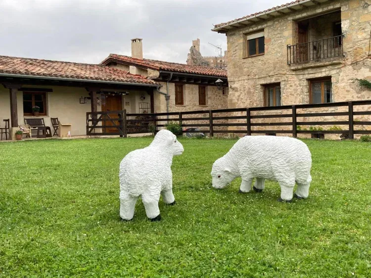 Imagen de Nuestras ovejitas en el jardin