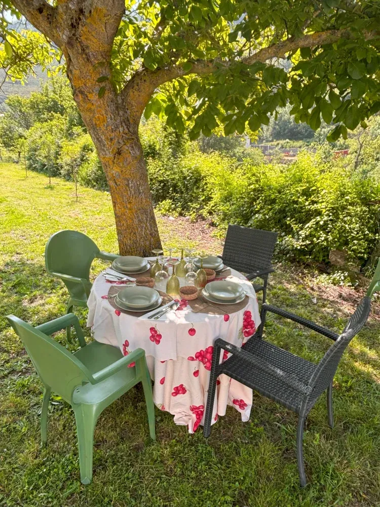 Imagen de Comer en el jard&iacute;n