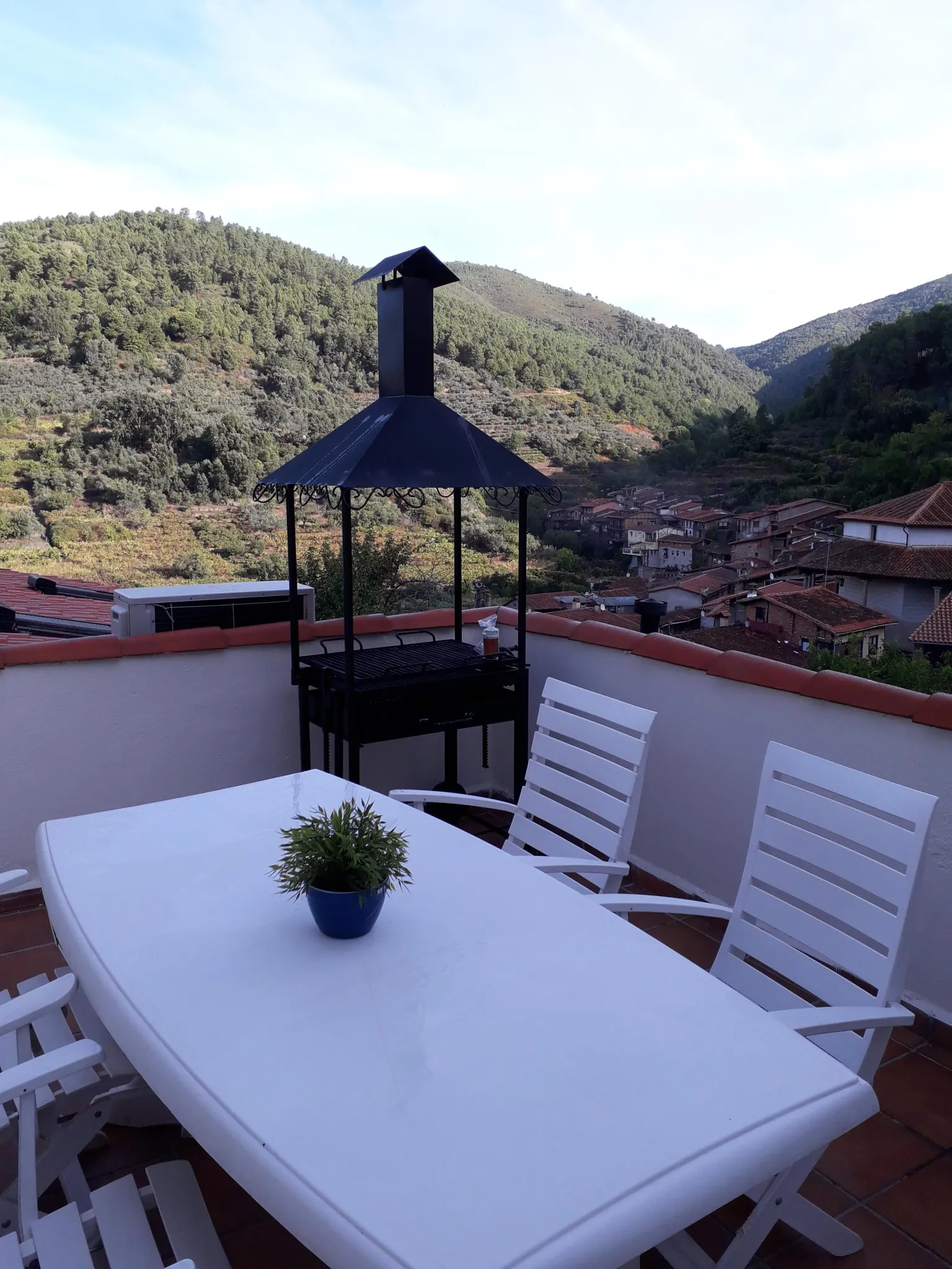 Imagen de Terraza nº4