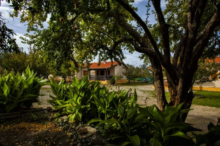 Imagen de Exterior