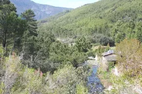 Imagen de Casa rural El Molino
