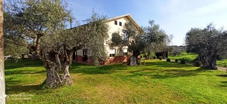 Imagen de Entrada casa