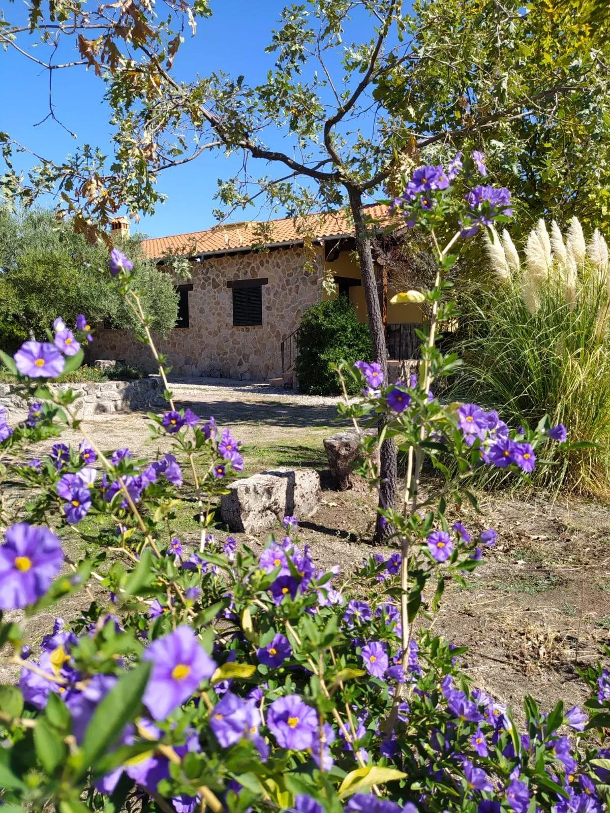 Imagen de Pago de Yuste, exterior de la casa de arriba 