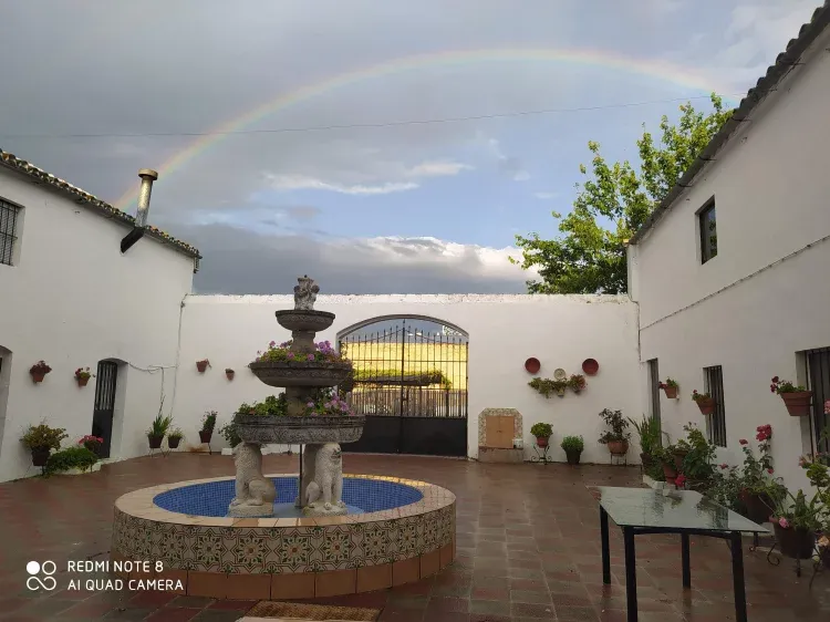 Imagen de Patio