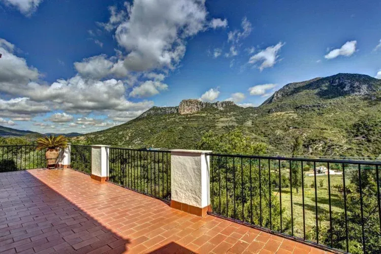 Imagen de Terraza
