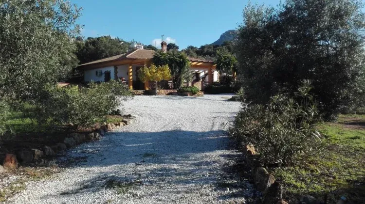 Imagen de Entrada