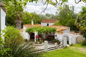 Imagen de Molino Naranjo