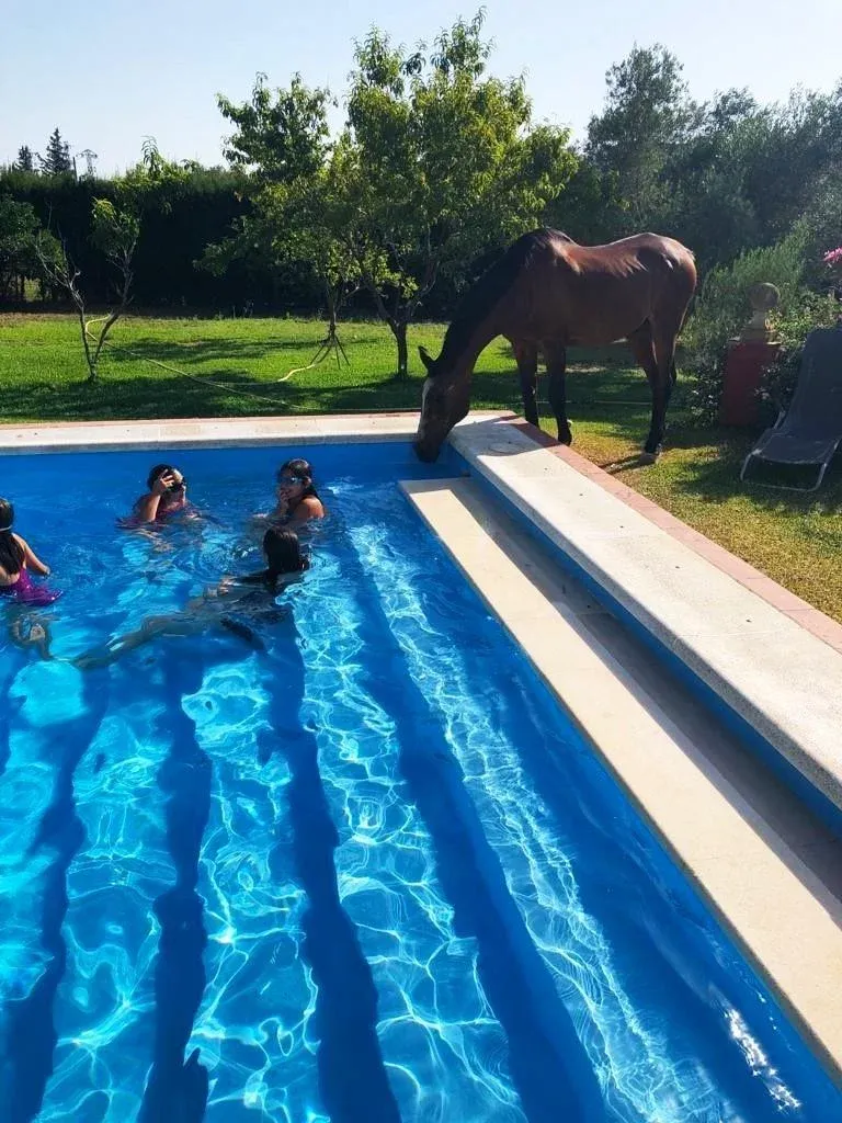 Imagen de piscina casa el estribo
