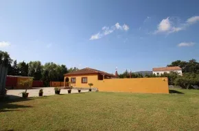 Imagen de Entre Naranjos