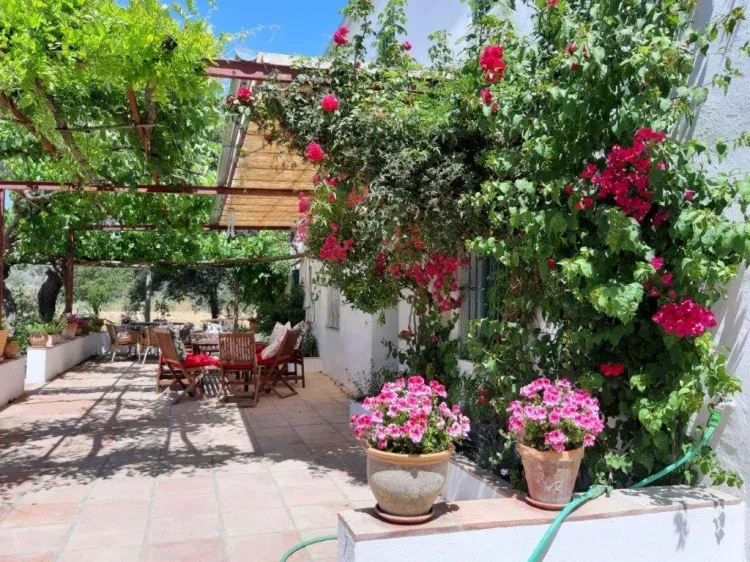 Imagen de La terraza