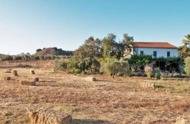 Imagen de Finca Los Meleros