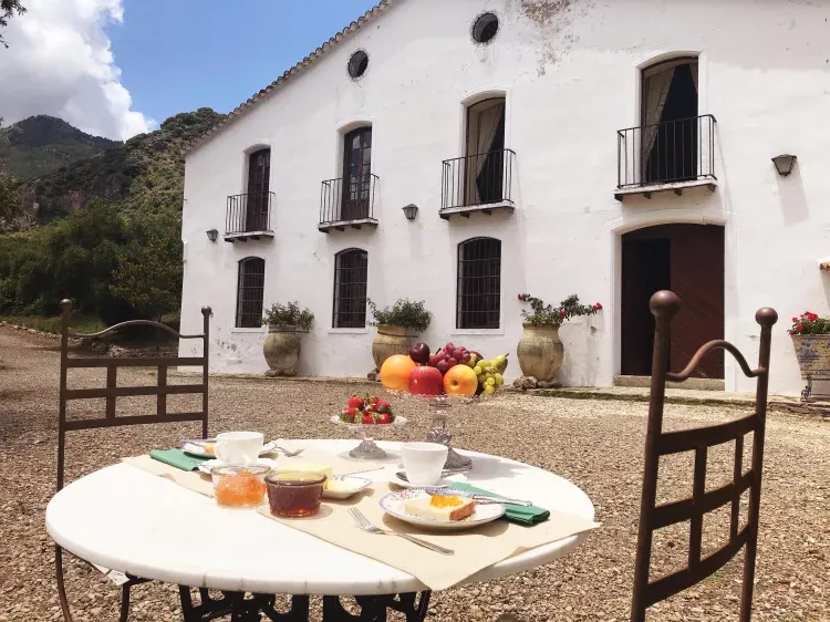 Imagen de Patio