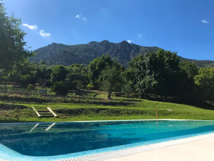 Imagen de Piscina con vistas