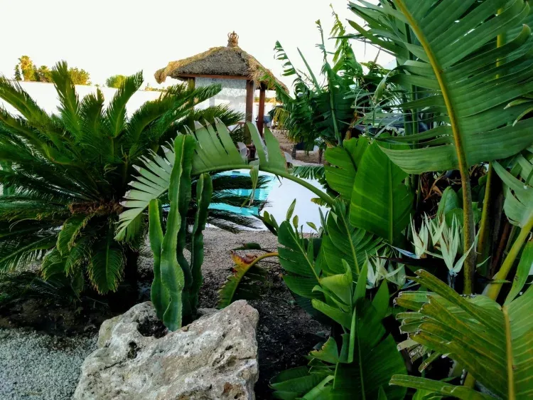 Imagen de Jardín entrada