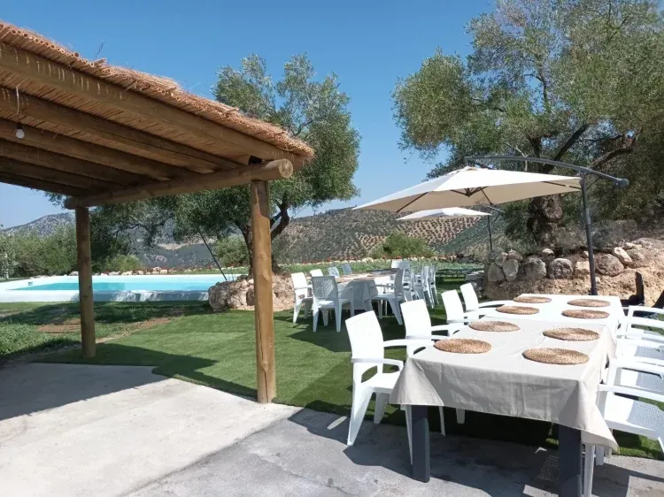 Imagen de Piscina con Bar y Solarium